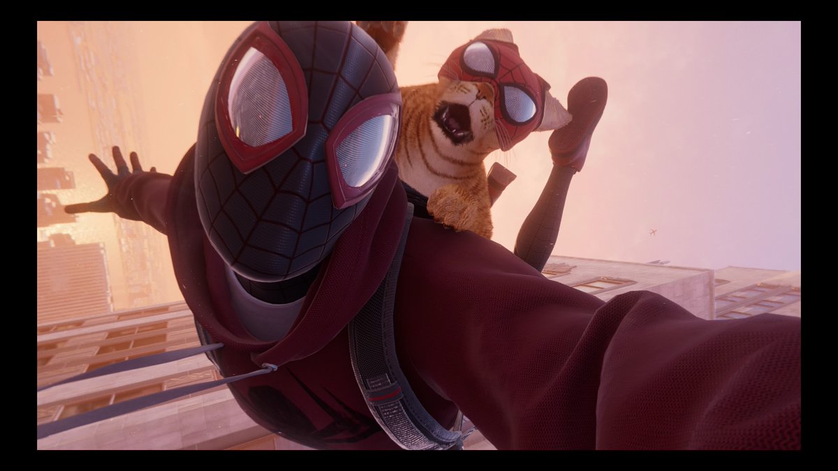 Spider cat #PS4share