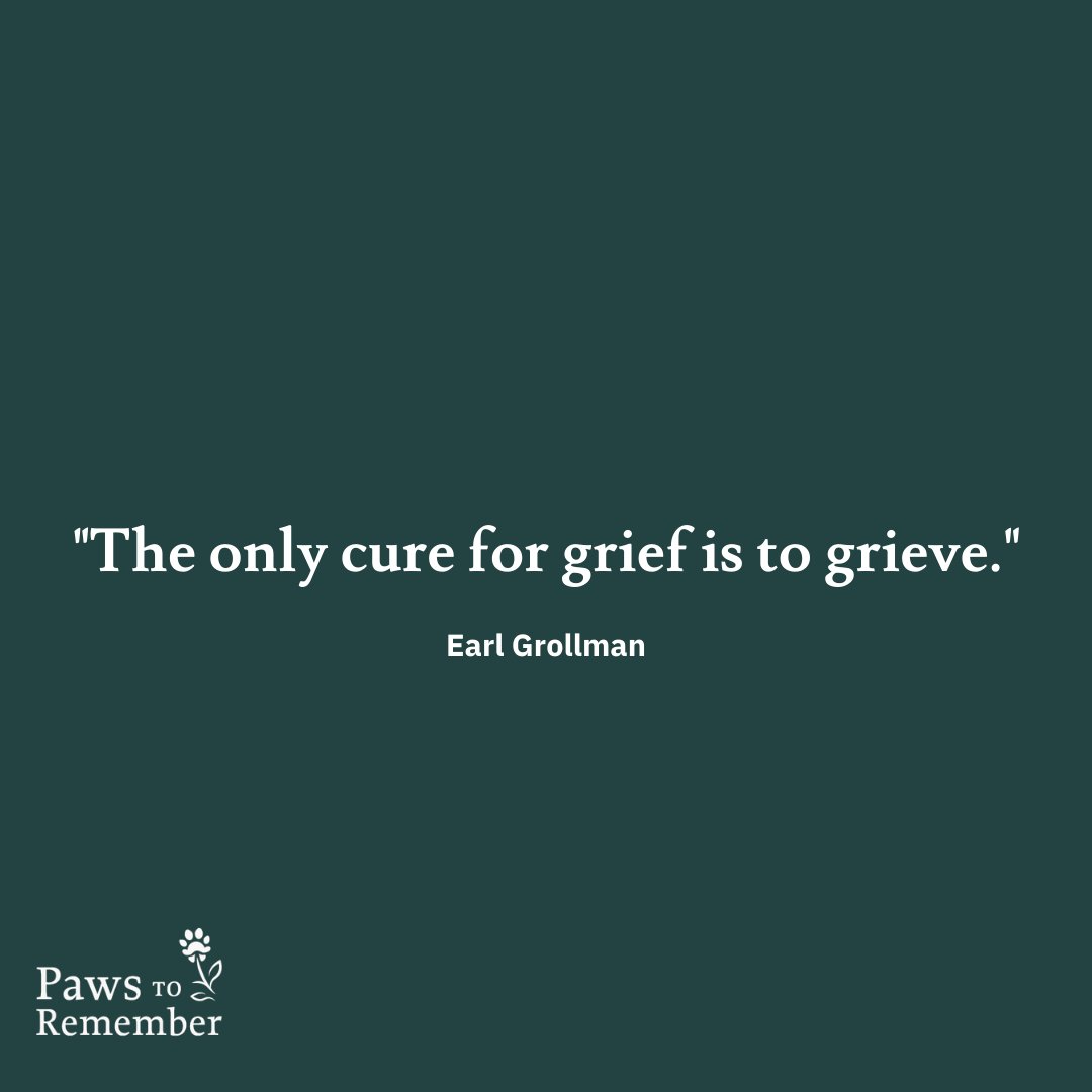 pawstoremember's tweet photo. A reminder that we have to feel our feelings even when dealing with love and loss ❤️🐾 https://t.co/bdN9RNWDu9