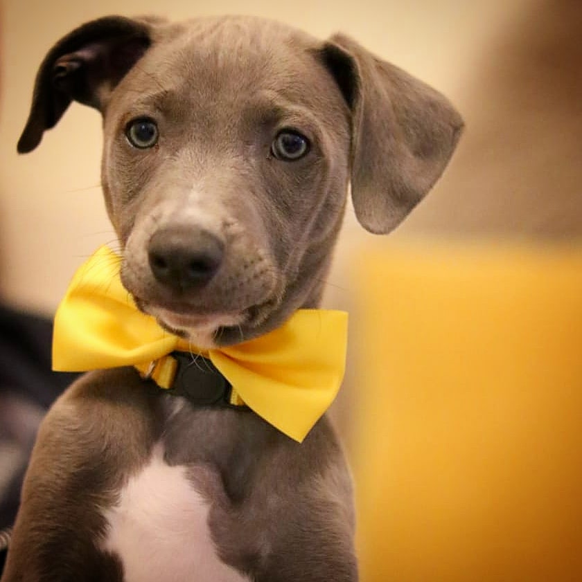 Malissa Paterson tweet media