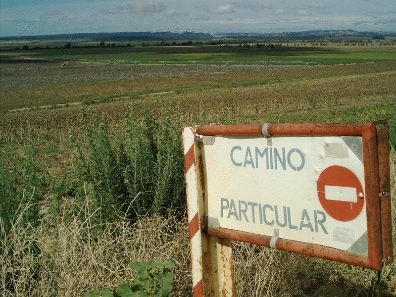 TheoOberhuber's tweet photo. Un informe de la Abogacía del Estado confirma que la Laguna de la Janda es pública y está usurpada.
https://t.co/dFmuUvck1b https://t.co/TSbjeyIzrf