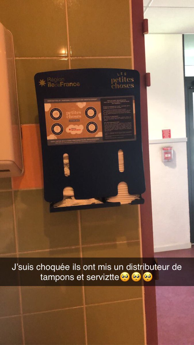 D pour dingo 🪽🇵🇸 ⵥ tweet media