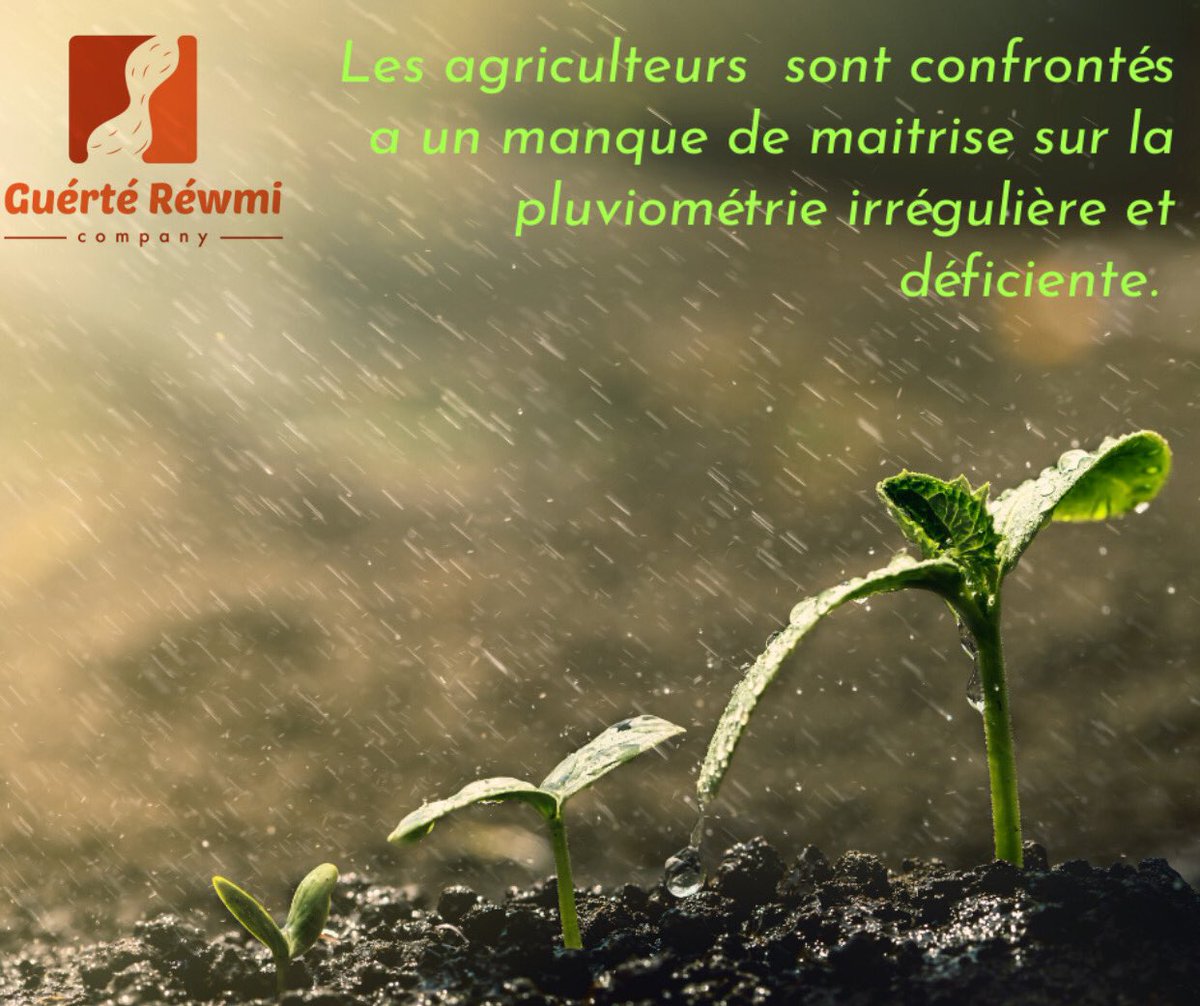 GuerteRewmi's tweet photo. La pratique de l'agriculture est très dépendante des pluviométries 💦 capricieuses marquées par les dérèglements climatiques contemporains.                              #senegal #entreprise #entrepreneur #agro #bio #local #agroalimentaire #freesenegal🇸🇳#arachide #africa #world https://t.co/8ecZcbWXtG