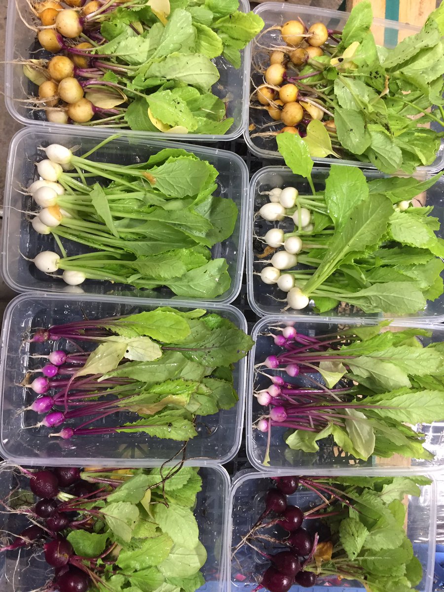 Something new for the weekend! #baby #organic #Jersey #fresh #veg <a href="/sproutsfarmclub/">Sprouts Farm Club Jersey</a>