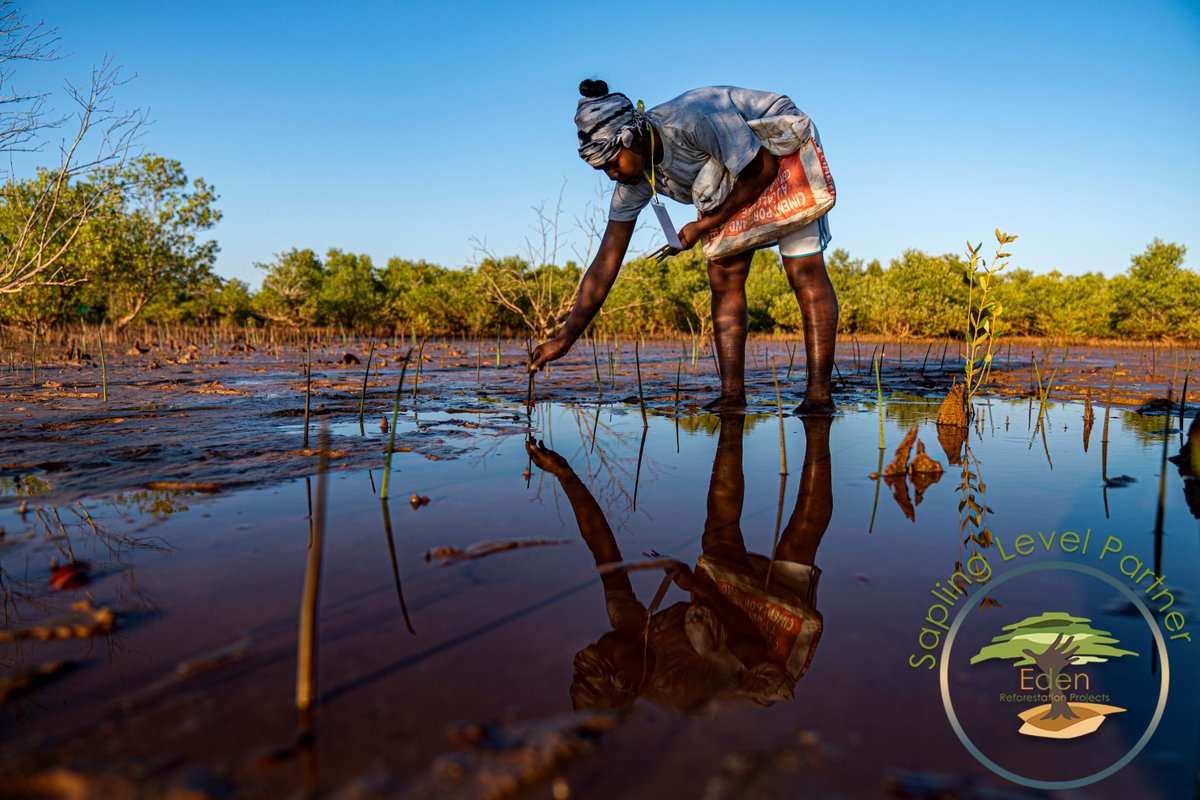 Eden: People+Planet tweet media