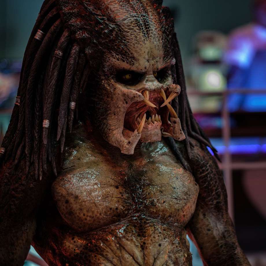 DiscussingFilm's tweet image. Amber Midthunder has been cast in a lead role for the new ‘PREDATOR’ film. (EXCLUSIVE) bit.ly/AmberDF