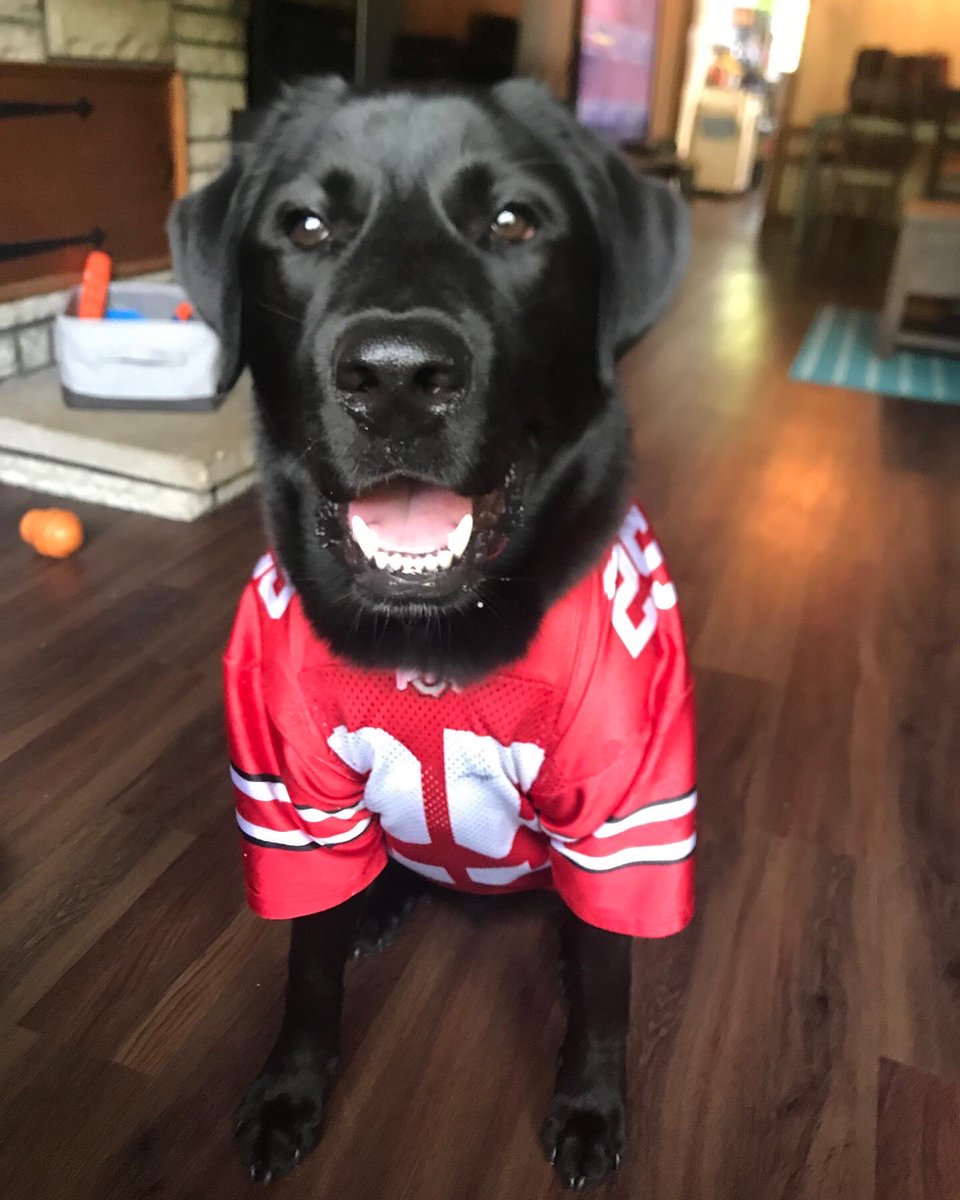 LeahWheeler4891's tweet photo. Is this a child’s Jersey? Yes. Do I care? No. Why? This is my child...and it fits 🤷🏻‍♀️ https://t.co/FUGf9ztZb4