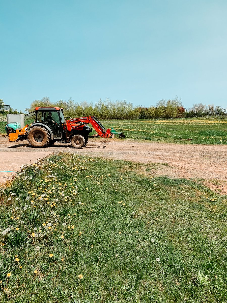 BlomidonEstate's tweet image. After a long day working in the fields today planting, pruning and prepping, we decided to indulge in a well deserved treat.
A bottle of the 2008 Blanc de Blancs today that was disgorged in 2011. Unbelievably good after nearly 10 years disgorged in bottle!!! #traditionalmethod