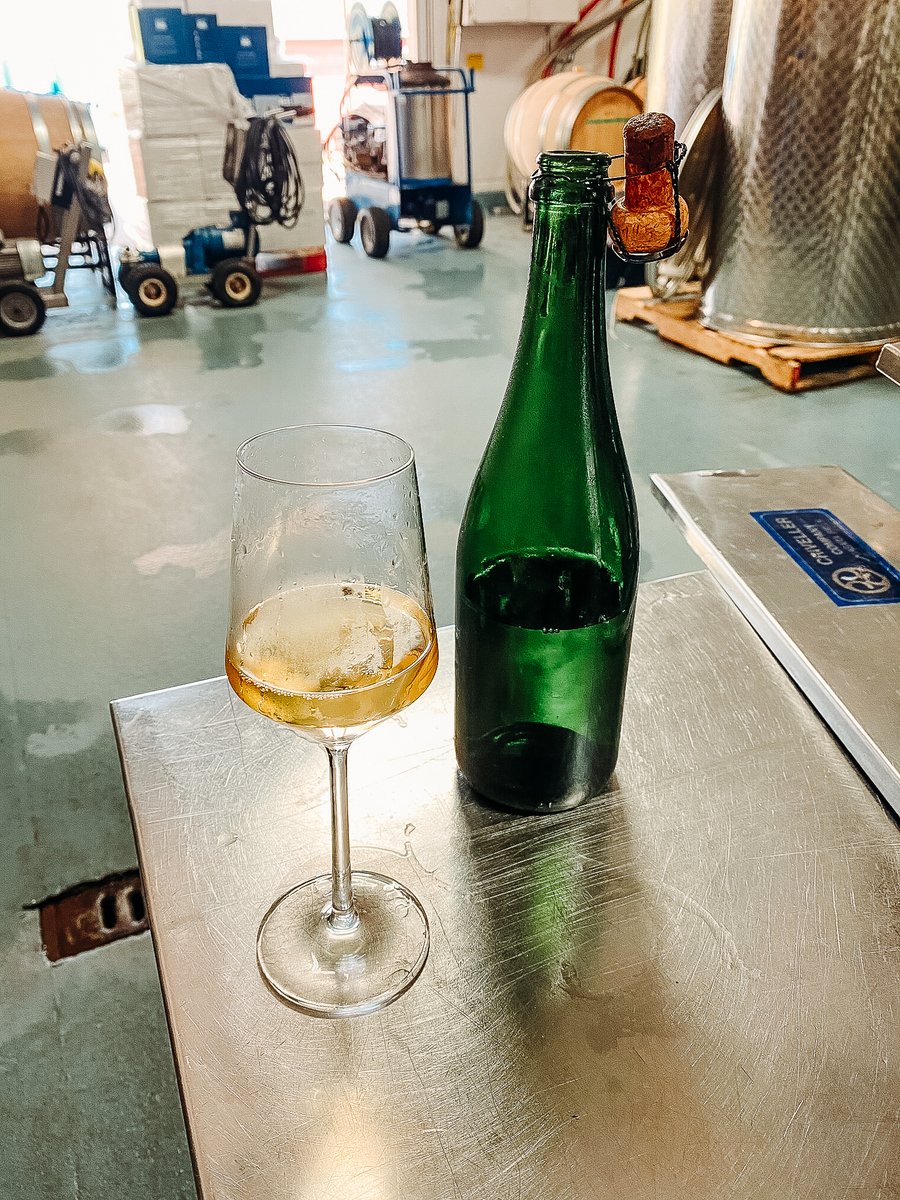 BlomidonEstate's tweet image. After a long day working in the fields today planting, pruning and prepping, we decided to indulge in a well deserved treat.
A bottle of the 2008 Blanc de Blancs today that was disgorged in 2011. Unbelievably good after nearly 10 years disgorged in bottle!!! #traditionalmethod