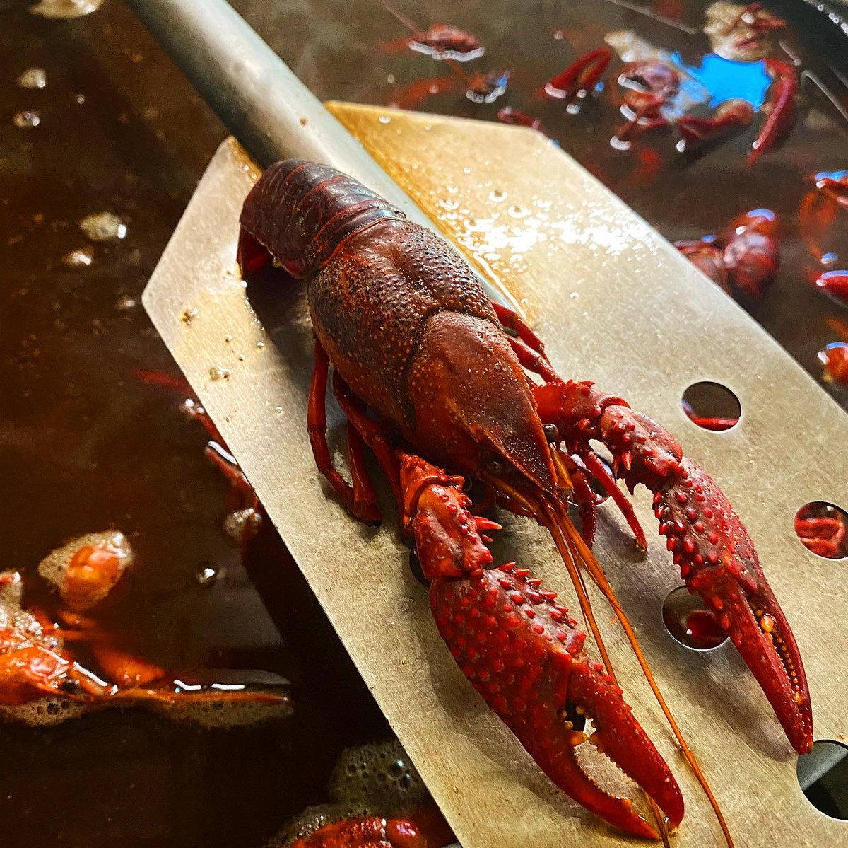It’s the WEEKEND!! Time for a few lbs of your favorite crawfish &amp; some cold beers!! Make sure to join us for an awesome time!! #crawfish #shrimp #crablegs #bbq #bbqribs #pulledpork #beer #craftbeer #dinner #greatfood #goodtimes #livemusic