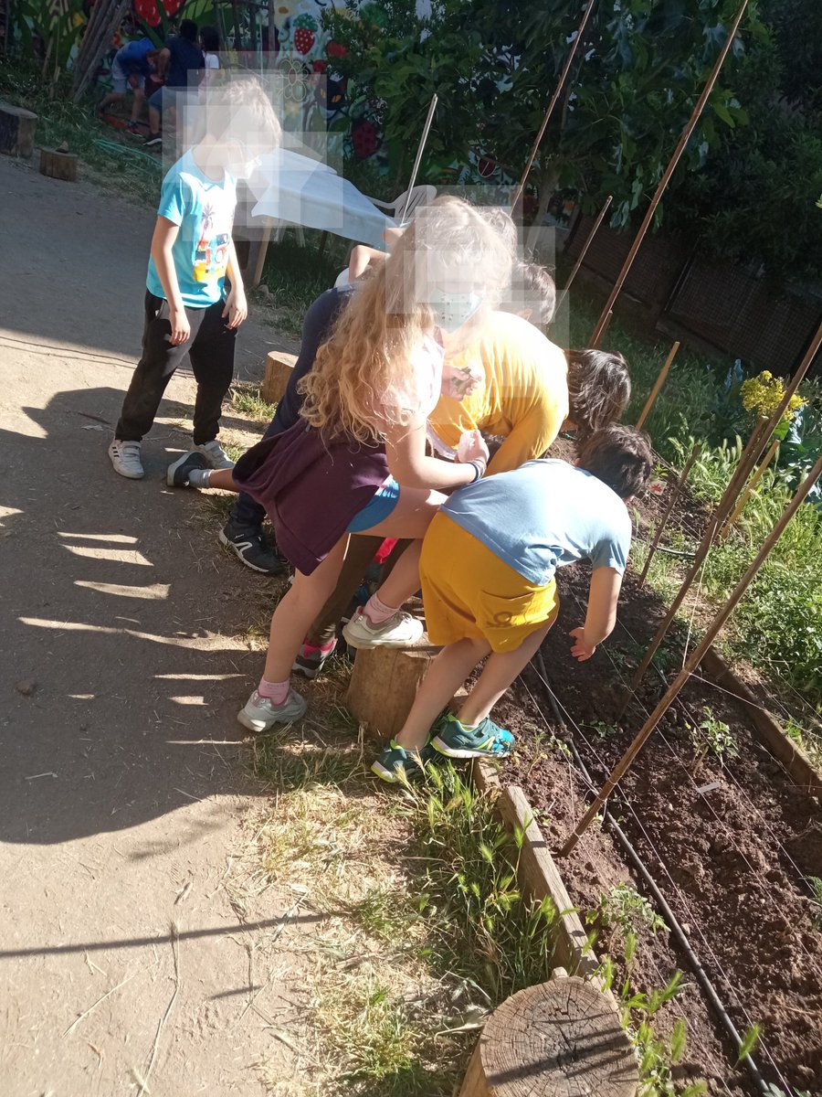 sophi_isla's tweet photo. Esta es una de las cosas que molan mucho del @Cpgaudi, los talleres en el huerto. Un poco de aire fresco en este año tan difícil.
Gracias a la @ampa_gaudi por organizarlos y por dejar a las familias participar. Se lo han pasado genial!! 🌱
#EducionPublica
#HuertoUrbanos https://t.co/QbFzzSiYJJ