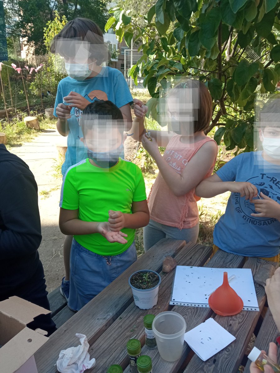 sophi_isla's tweet photo. Esta es una de las cosas que molan mucho del @Cpgaudi, los talleres en el huerto. Un poco de aire fresco en este año tan difícil.
Gracias a la @ampa_gaudi por organizarlos y por dejar a las familias participar. Se lo han pasado genial!! 🌱
#EducionPublica
#HuertoUrbanos https://t.co/QbFzzSiYJJ