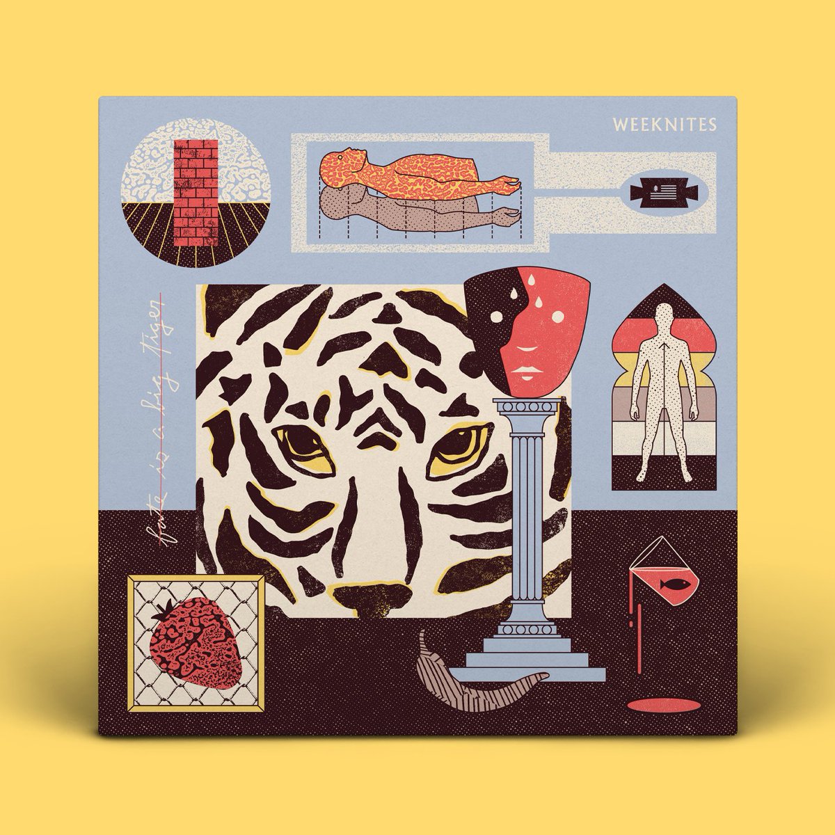 weeknites's tweet image. Our album is out today! Listen here: bit.ly/3wqAMyi