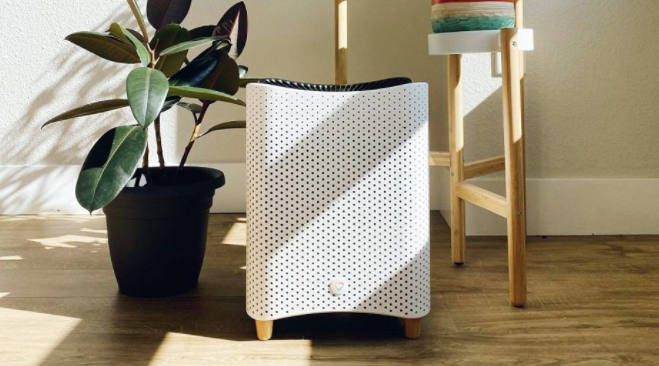 Forbes's tweet photo. Why you still want an air purifier even after vaccination: https://t.co/FVwwR0Hx2c https://t.co/eM8Gas31hM