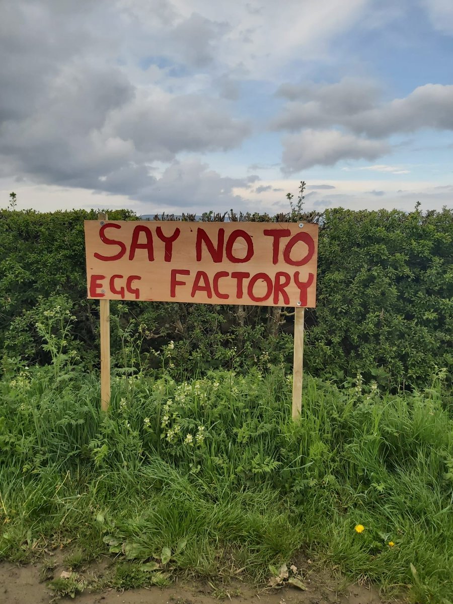 ThorntonBeans's tweet photo. How can we #DiscoverHambleton if the beautiful countryside is ruined with industrialised chicken factories @HambletonDC ?? https://t.co/qwINDerxFW