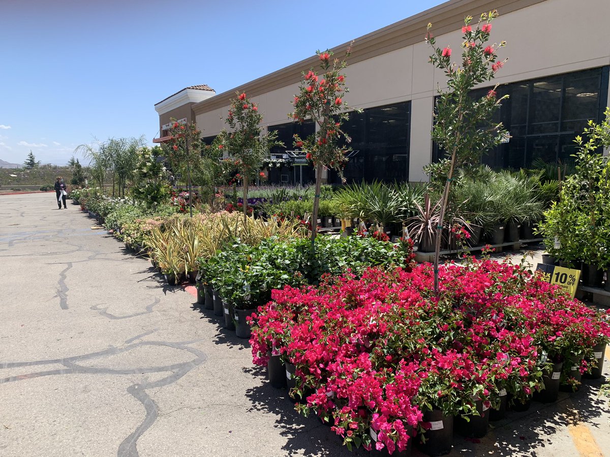 The sun is shining and 6960 is ready for beautiful weekend in live goods. Bring on the color!