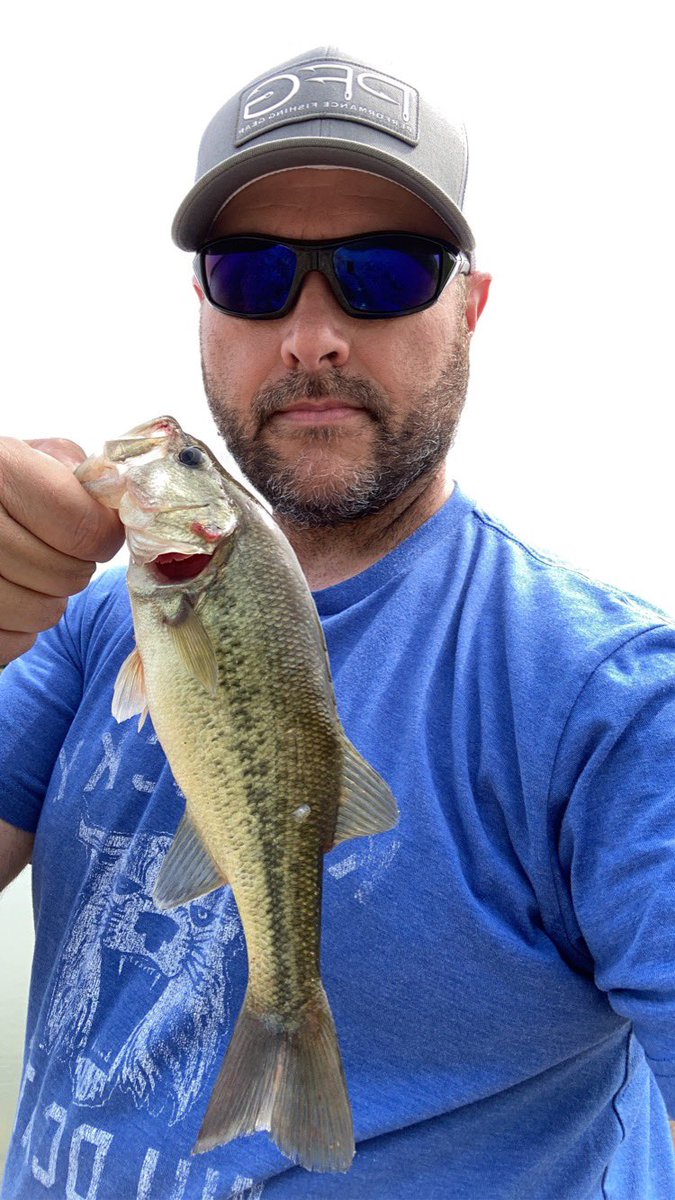 AndyWadeKY's tweet photo. Rebel Crickhopper and Wordens Rooster Tail doing the trick on some panfish today. #LongEar #GreenSunfish #BassFishing 🎣 https://t.co/Xr0SBknbKM