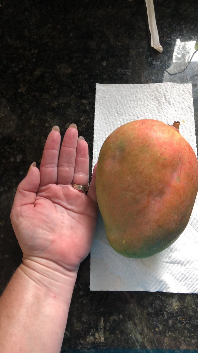 Mangoes from my tree!