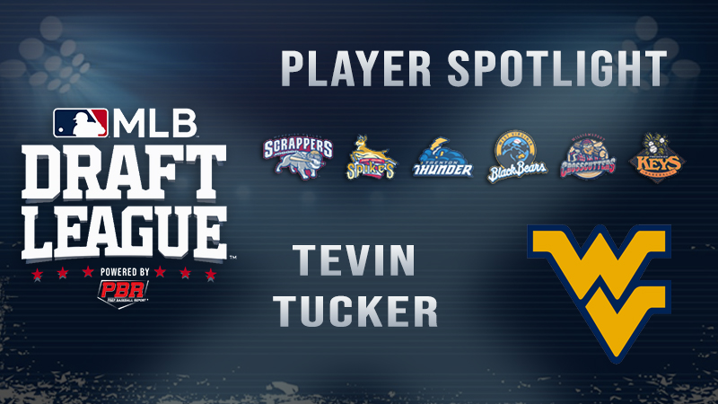 𝘿𝙧𝙖𝙛𝙩 𝙇𝙚𝙖𝙜𝙪𝙚 𝙎𝙥𝙤𝙩𝙡𝙞𝙜𝙝𝙩: 𝙏𝙚𝙫𝙞𝙣 𝙏𝙪𝙘𝙠𝙚𝙧

𝗣𝗼𝘀𝗶𝘁𝗶𝗼𝗻: SS
𝗦𝗰𝗵𝗼𝗼𝗹: <a href="/WVUBaseball/">WVU Baseball</a> 

🗒️ Revered as perhaps the best defensive player in the Big 12, Tucker has started at SS since his freshman year.

 🔗 bit.ly/3u4wDhX  | #MLBDraftLeague