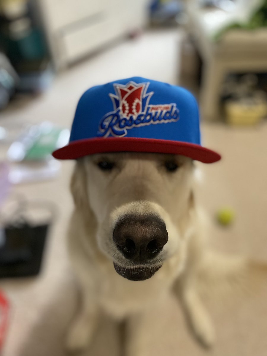 picklesbaseball's tweet image. Just 12 more days until we get to see you and your furry friends at Walker Stadium again! #FanFriday 🐶