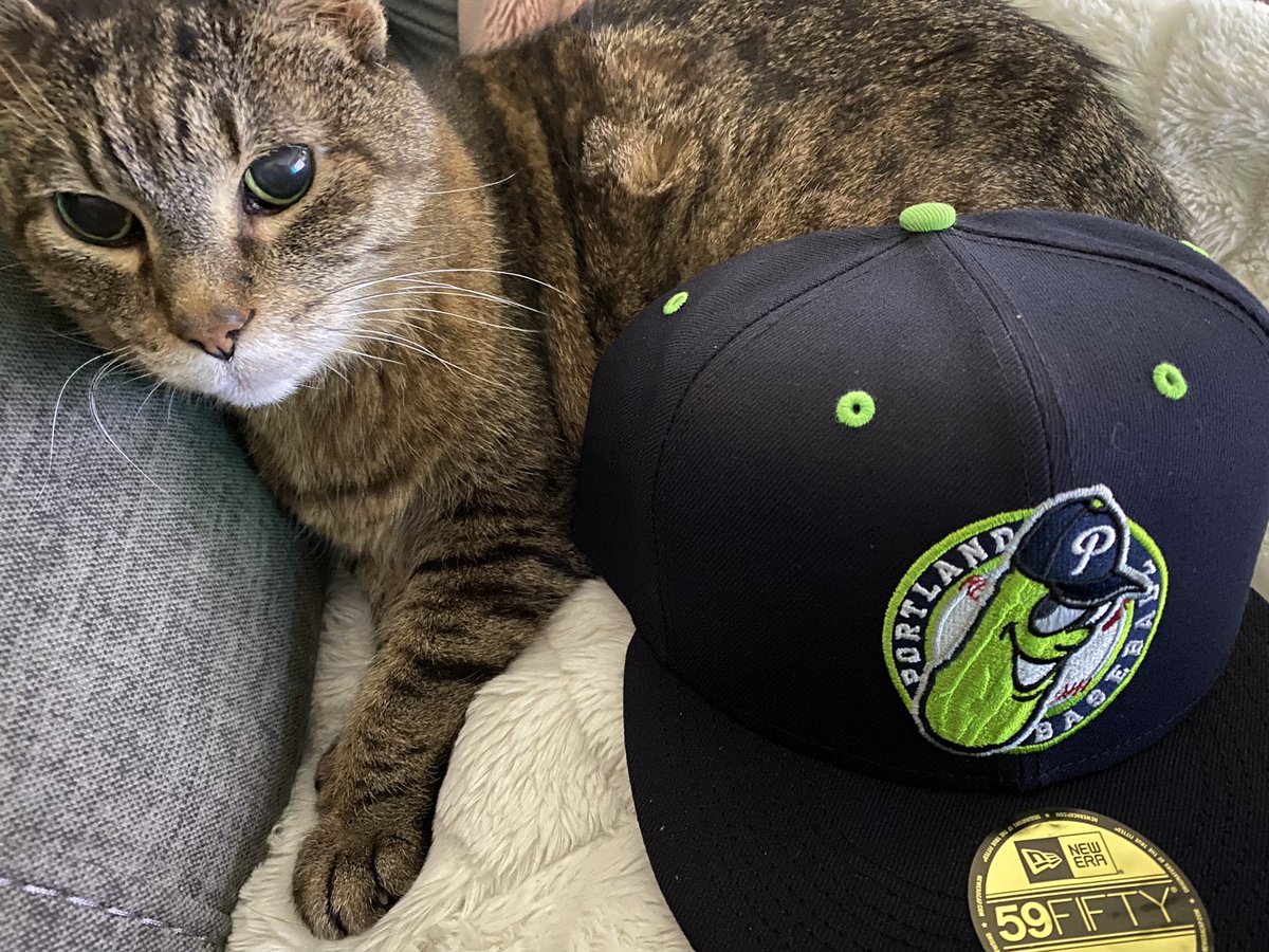 picklesbaseball's tweet image. Just 12 more days until we get to see you and your furry friends at Walker Stadium again! #FanFriday 🐶