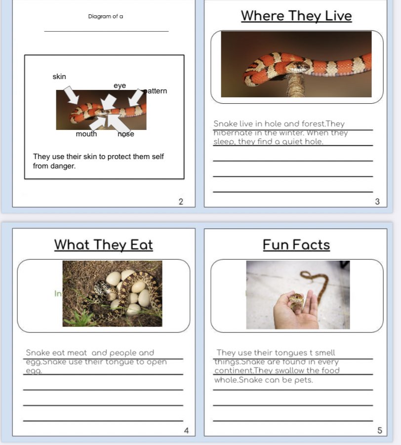 Jessica Cozza tweet media