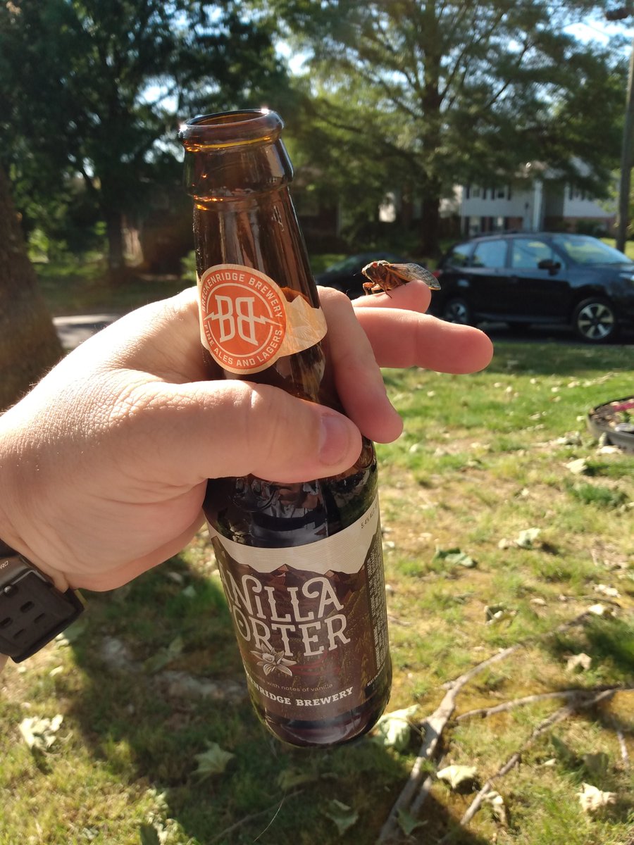 He trying to say he's 21 but I'm not buying it. <a href="/BreckBrew/">Breckenridge Brewery</a> #cicadas2021