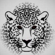 56blackcat's tweet photo. ‘Right now....we are deciding without quite meaning to, which evolutionary pathways will remain open &amp; which will forever be closed. No other creature has ever managed this &amp; it will, unfortunately, be our enduring
legacy’

Elizabeth Kolbert~

#EndangeredSpeciesDay https://t.co/PpMDKQY2gs