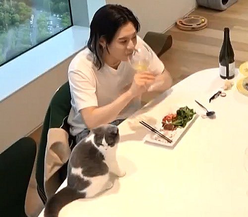 taemcatboy's tweet image. me &amp;amp; my cat when i have my own apartment