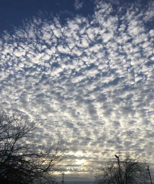 Spartan Senior Keyra Sturghall is getting a full-ride 4 year scholarship to the Academy of Art University this Fall. #risingartist,#justthebeginning, #sotalented