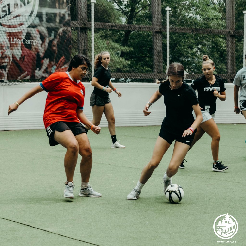 WOLISLAND tweet media