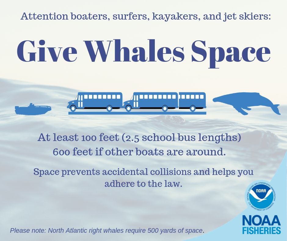 NOAAFish_GARFO's tweet image. Planning to be out on the water this weekend? Check out our video on how to safely boat around whales. It's important we give marine life space when boating and fishing!  go.usa.gov/xHEsM