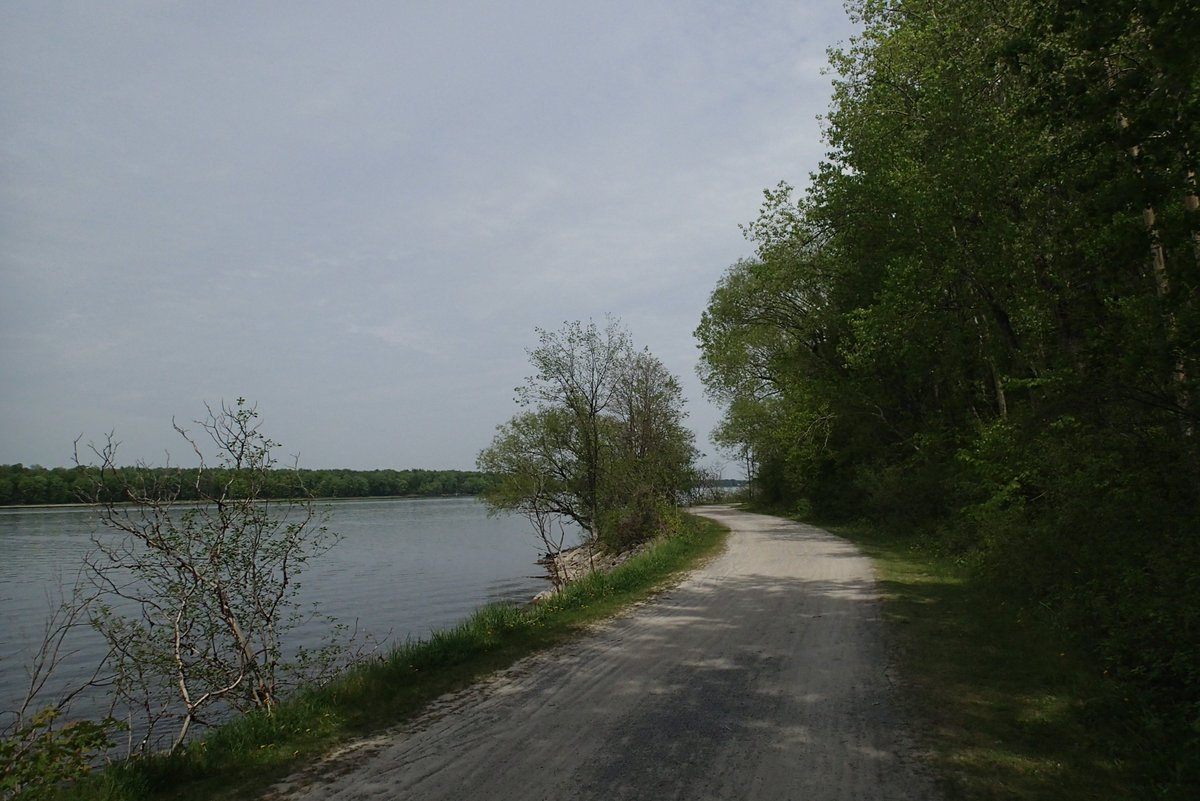 MortenLidegaard's tweet image. Lovely weather for a slow-paced 22k run along the Ottawa River 😀 32ºC and only little wind. Summer is here!! Hydrate Hydrate Hydrate! @nuunhydration 
Hope you've had a splendid Friday 😋
#IStartHere @OttawaMarathon @runottawa 
#TeamNuun
#mmrun 81+82/100 @MegaMeterRun 
#MyOttawa