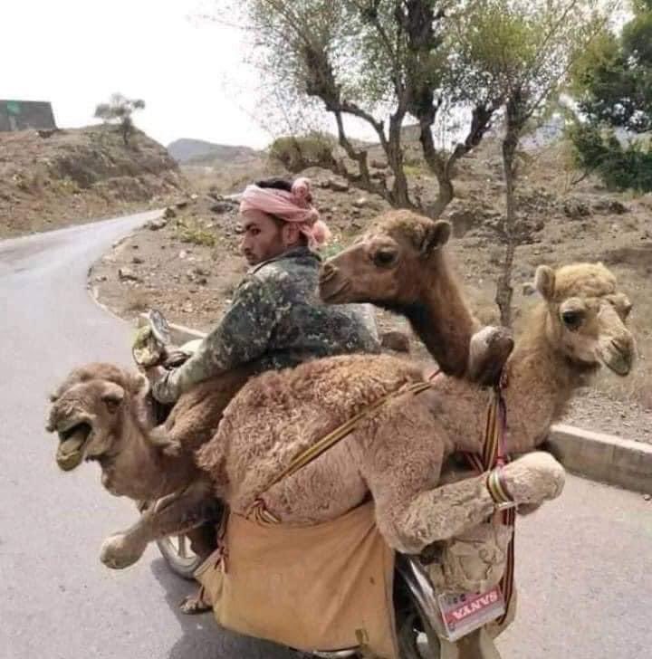 انا خلاص شديت لي ثلاث موزز  وهربت استكفيت

@ii___m___ii 
<a href="/M6a__/">مـلڰـͲảᎥẑــﮩ❥ ⁽🖤₎🇾🇪</a> 
<a href="/cu_z9j/">🆁🅷🅸🆀</a> 
🤣🤣🤣😙🏃🏾🏃🏾🏃🏾👉🏻

والباقي لكم ياشباب