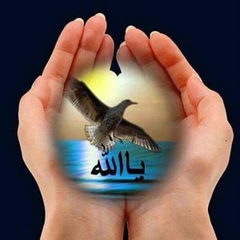 aGHVsx01GbjYsxg's tweet image. يارب إشرح صدري فإن نفسي تؤلمني ويسر أمري فإن البشر شر وإغفر ذنبي فإن ذنوبي كثرت وأنت أرحم الرحمين