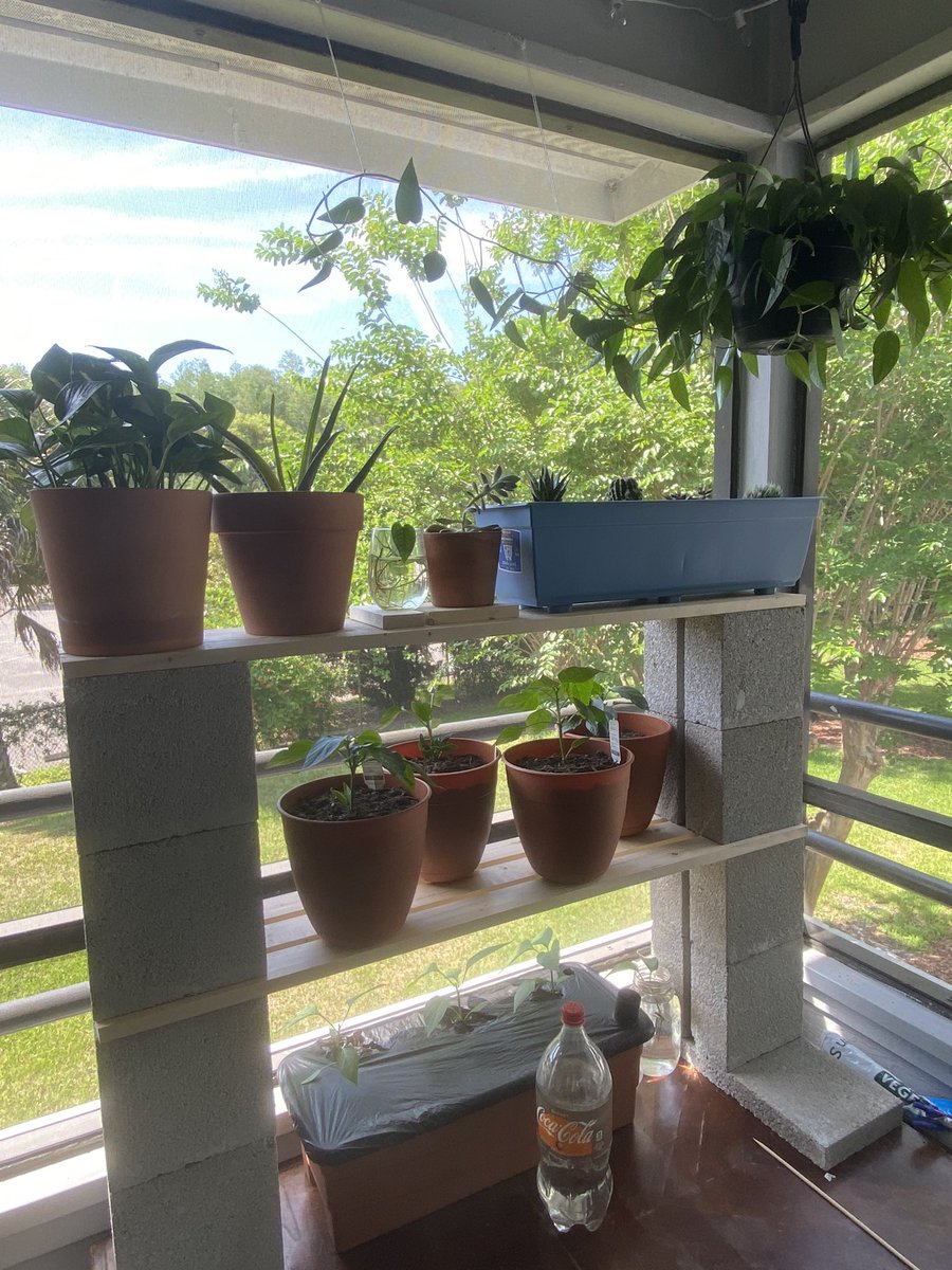 rbstapp's tweet image. never catch me leaving