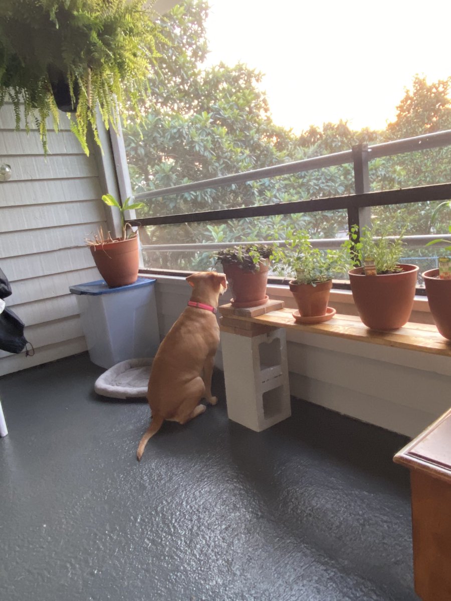 rbstapp's tweet image. never catch me leaving