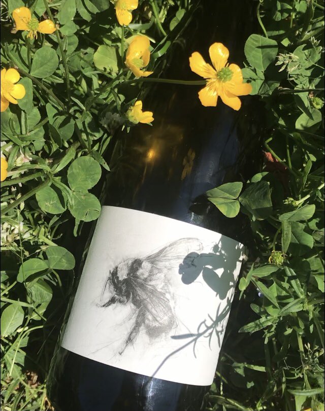 Apparently it’s International Chardonnay Day ! Not sure who comes up with this stuff. But sure helps with the content creation . Have a great weekend . <a href="/bigtablefarm/">Bigtablefarm</a> @kelliwhitewine <a href="/WineauxDLynnP/">DLynn</a> <a href="/winebyrx/">Richard Weinberg</a>