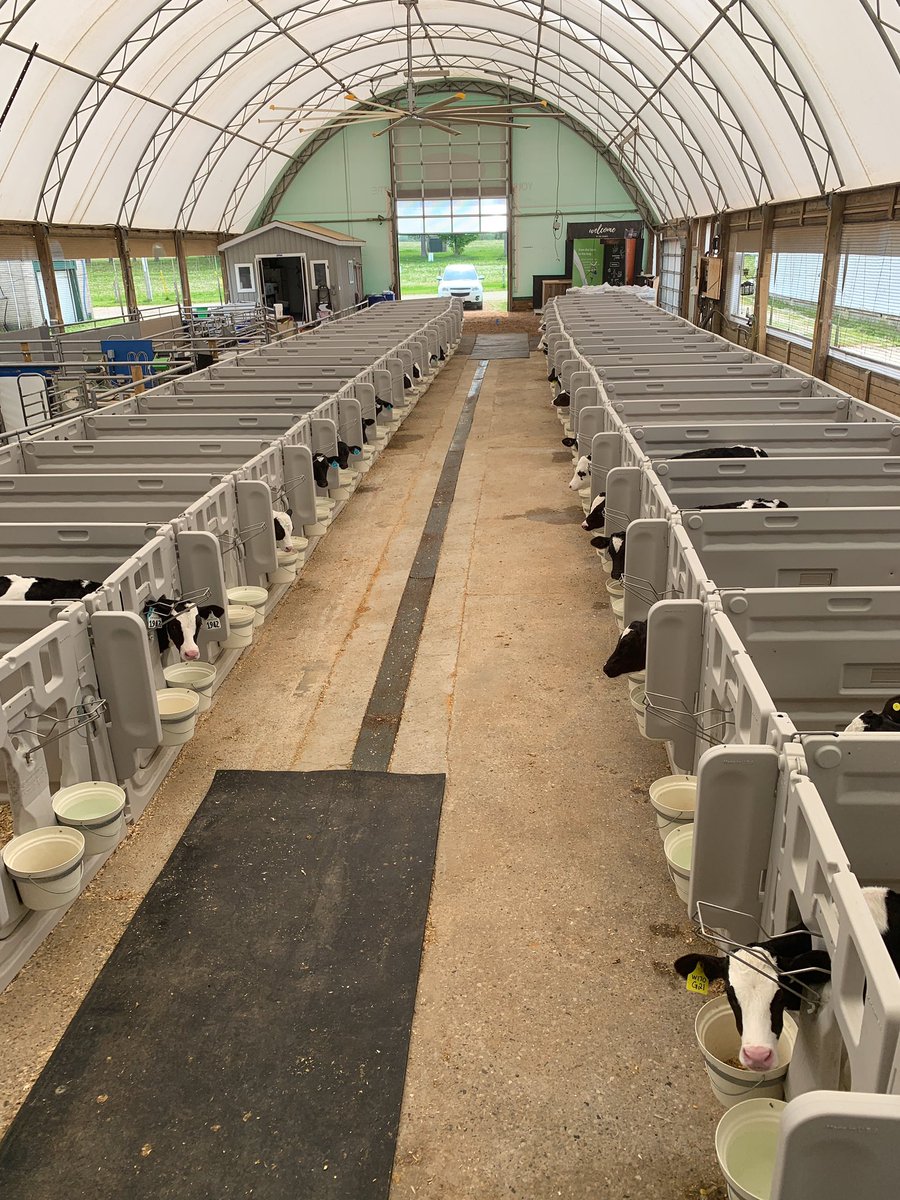 Trial 1/2 is off to a great start at the Grober Young Animal Development Centre!