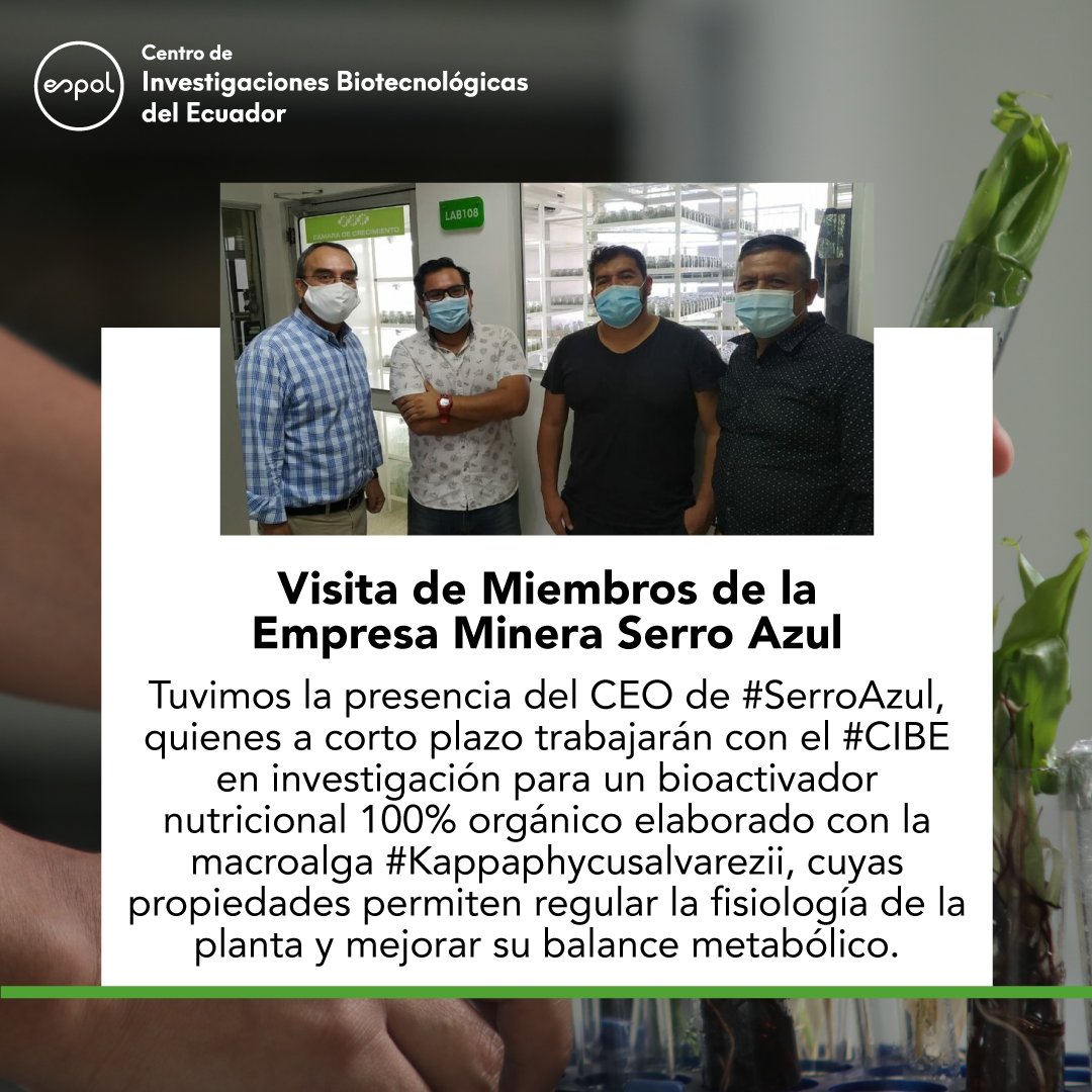 cibe_espol's tweet photo. Tuvimos la presencia del CEO de #SerroAzul, quienes a corto plazo trabajarán con el #CIBE en investigación para un bioactivador nutricional. https://t.co/PePT5xcuPi