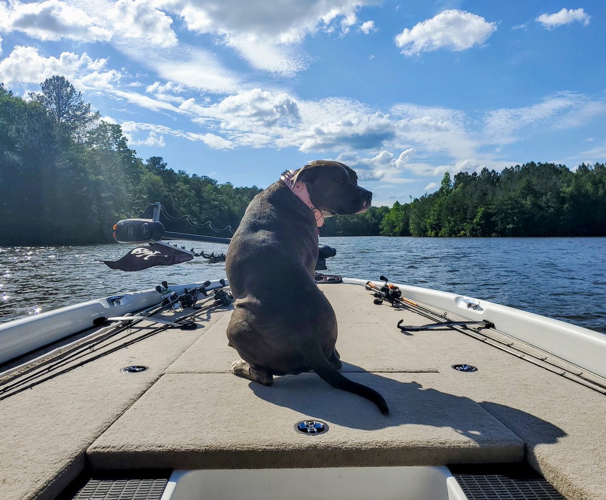 Woman's best friend &amp; boat navigator #FishingBuddy 🤍💦🎣