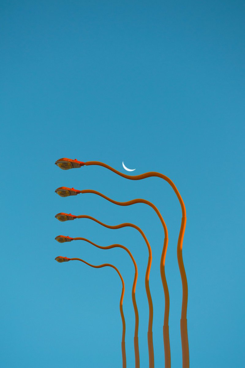 matialonsor's tweet photo. of light poles II https://t.co/sO9Hnvdjlp
