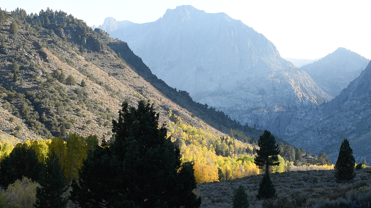 Late afternoon light in the Eastern Sierras. This place is good for the soul.

#naturelovers #mindfulness #landscapephotography