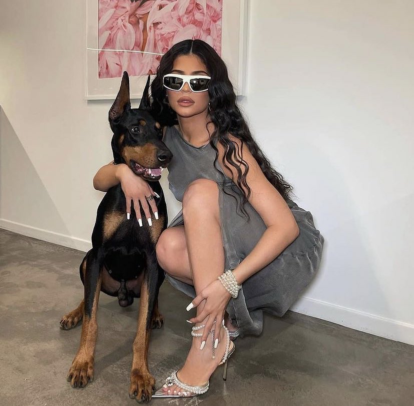 DRIP (@dript3r) on Twitter photo 