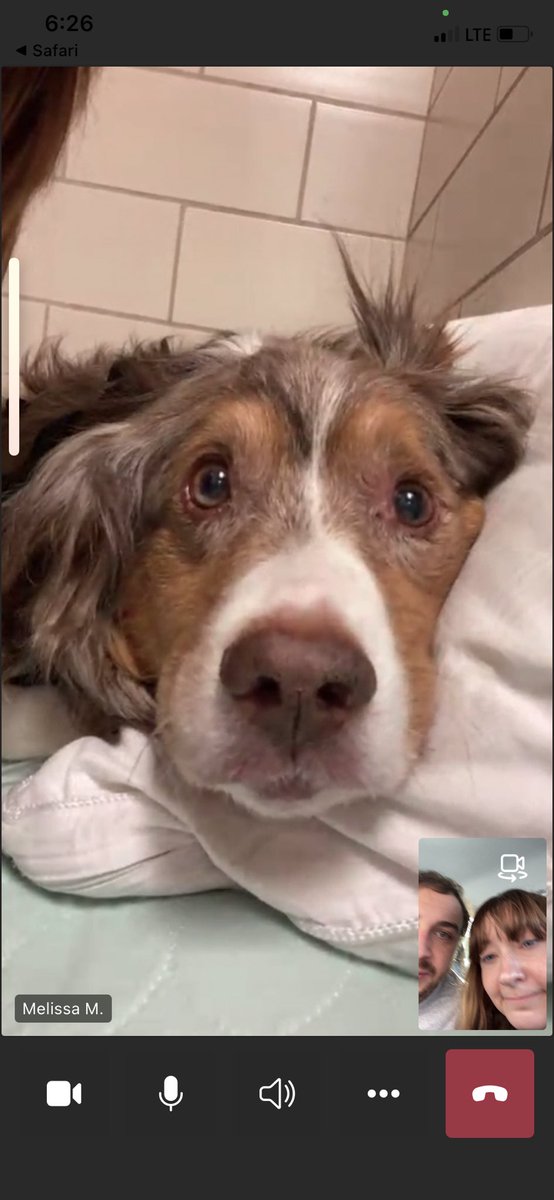 the sometimes friendly ghost tweet media