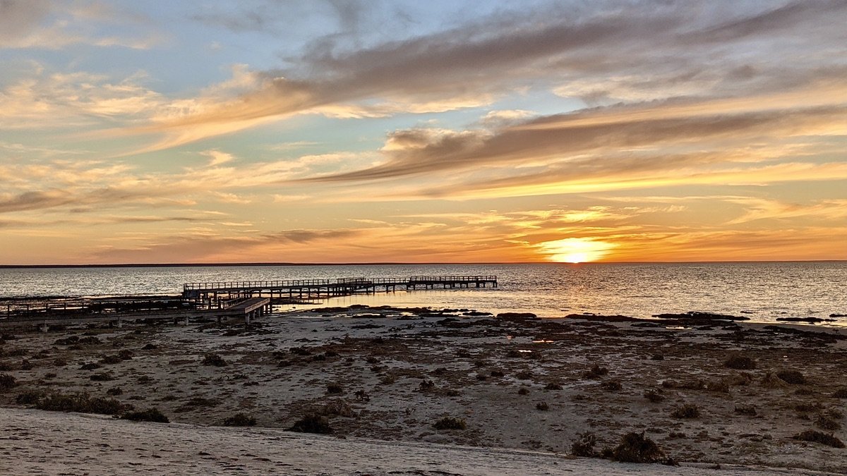 itinerantozzie's tweet photo. Sunset over Stromatolites and boardwalk at Hamelin Pool, WA. #stromatolites #hamelinpool #teampixel https://t.co/LwlTFNOpRF