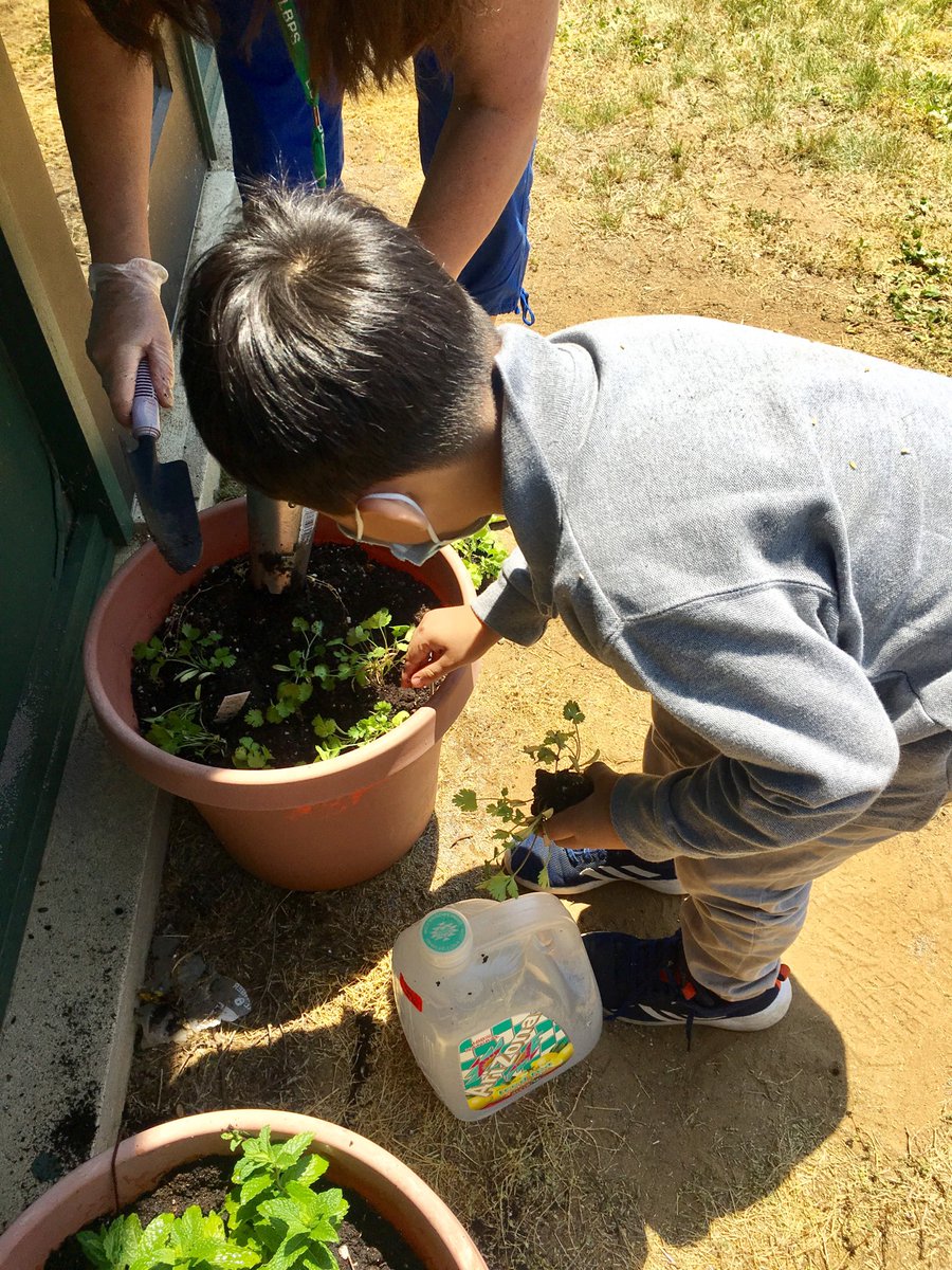 WDVazquez59's tweet photo. Planting Day at Morris Ave.. Rm 39 https://t.co/AVjwA30pgR