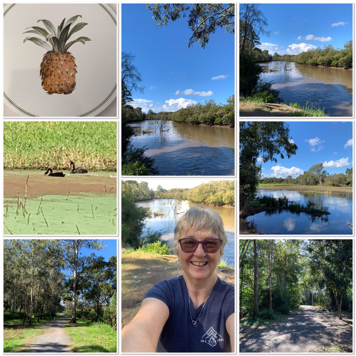 lesley210756's tweet photo. A busy morning shopping for things for our new house and came across these pineapple 🍍 placemats for our table, then after lunch a lovely 5k walk down to the Eagleby Wetlands possibly the last time walking here for a while 😢 #mpc2021 #aussiepeakers #mpcgalaweekend #mpcgala https://t.co/uRj6xiCfTK