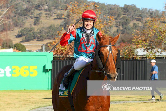 Cloud9Tbreds's tweet photo. 🏇🥇WINNER!🥇🏇
Another tough display resulted in a much deserved victory for #EITILT today @racingwodonga
That’s 2 wins from his last four starts!
(And beaten less than a length in the other 2!) 👏👏 https://t.co/6nlmjNOgiV