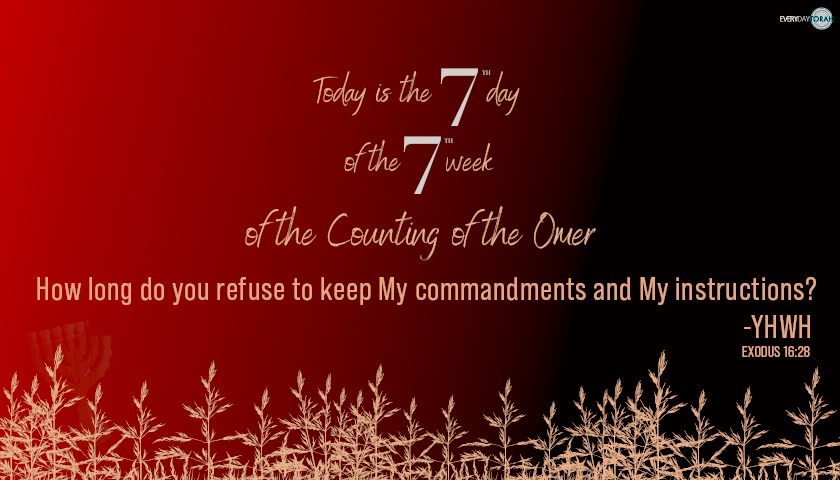 EverydayTorah's tweet photo. Today is the 7th day of the 7th week of the counting of the Omer.

Exodus 16:28

How long do you refuse to keep MY commandments and MY instructions? -YHWH
.
.
.
.
#EverydayTorah #Omer #Counting #HowLongDoYouRefuse #KeepMyCommandments #KeepMyInstructions #YHWH #IfYouLoveMe #Yeshua https://t.co/vu1MI4r1As