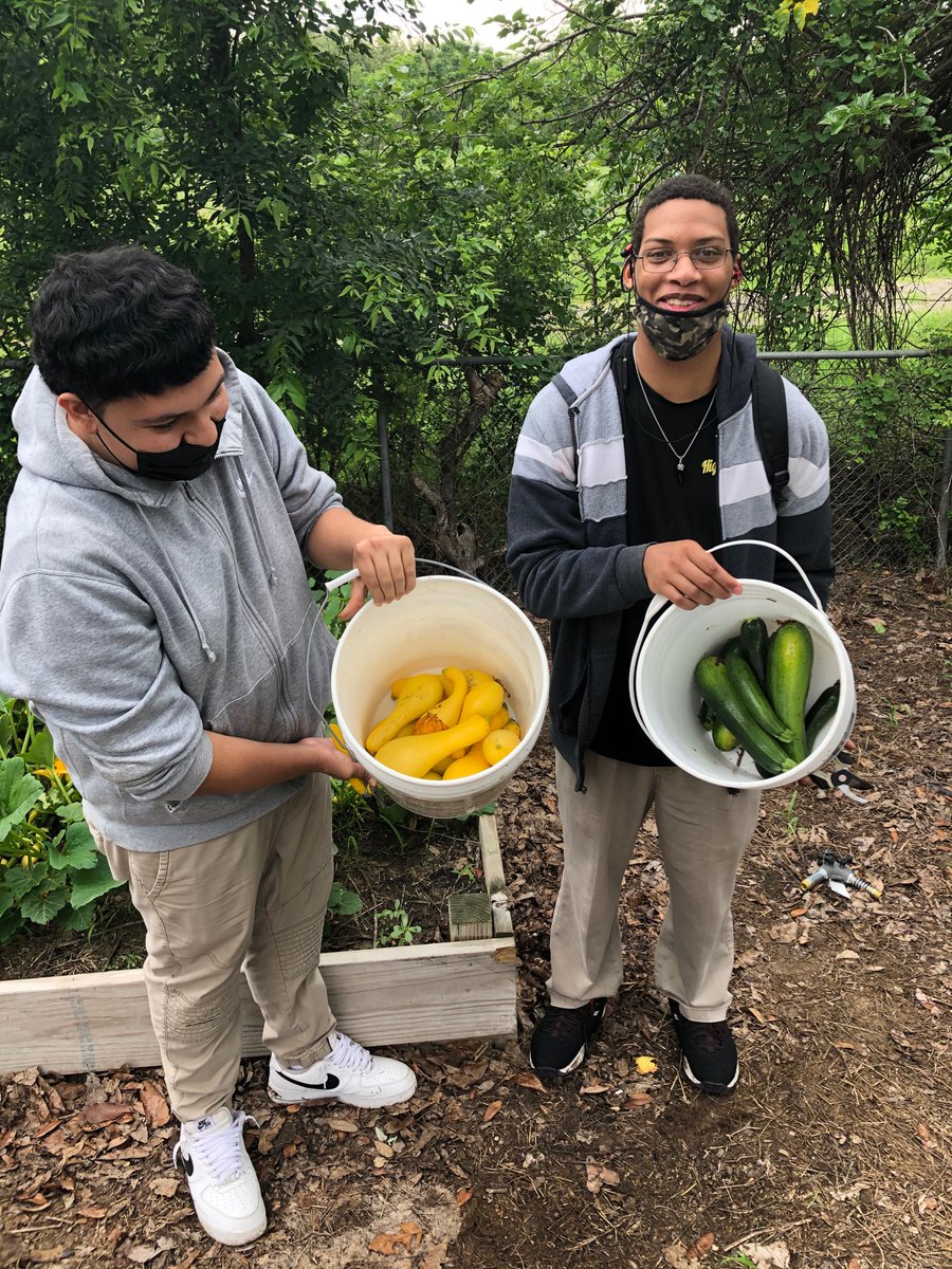 HighlandsAg's tweet photo. Highlands FFA glad to donate our first  harvest of squash/peaches to the San Antonio Food Bank
@SAISDCTE @SAISDHighlands https://t.co/F8E98qjxHt